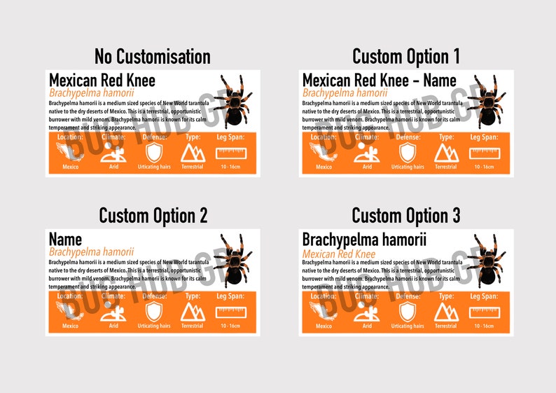 MEDIUM Custom Invertebrate/Reptile Enclosure Labels ANY species, ANY common name customisation image 7