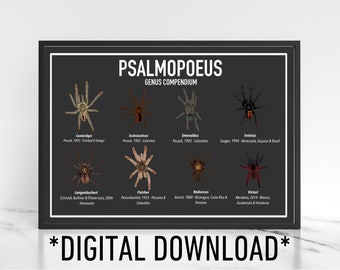 Digital Download Psalmopoeus Tarantula Genus Poster A4 Exotic Pet Gift
