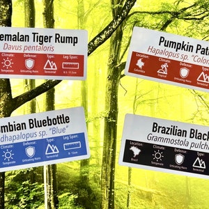 SMALL Custom Invert/Reptile Enclosure Labels ANY species, ANY common name customisation image 2