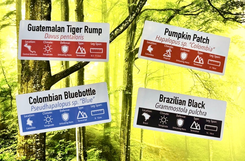 SMALL Custom Invert/Reptile Enclosure Labels ANY species, ANY common name customisation image 2