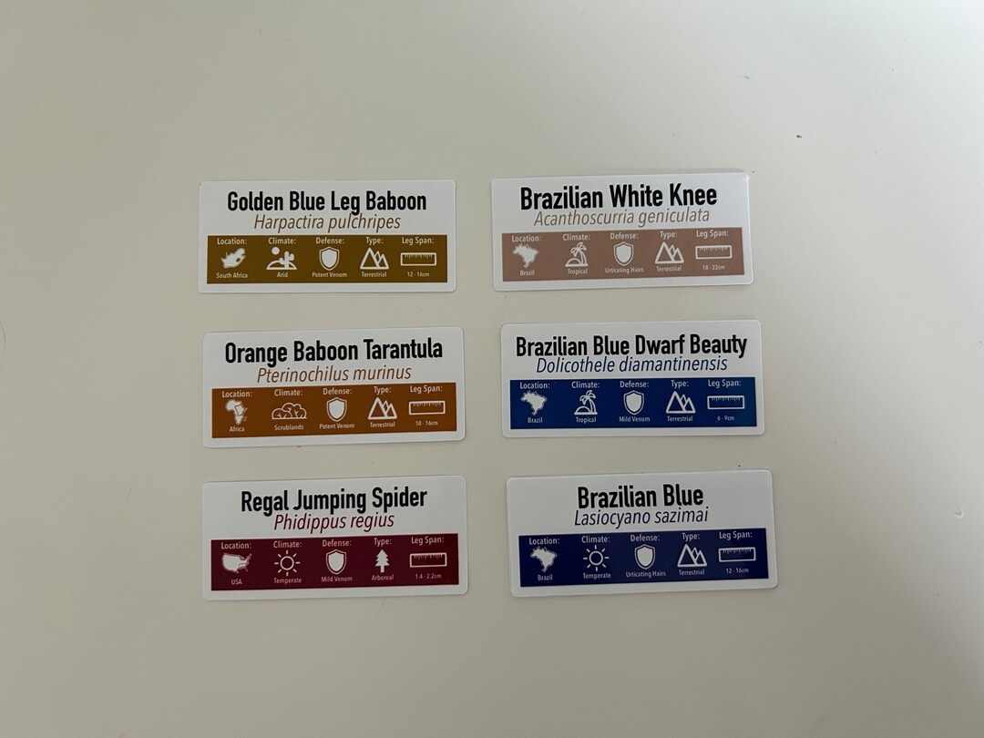 SMALL Custom Invert/reptile Enclosure Labels ANY Species, ANY Common Name Customisation Etsy