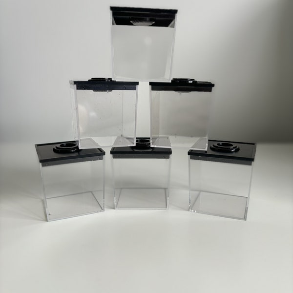 Small Rearing Cube Invertebrate Spider Enclosure 5x5x5cm, Top Vented Black Lid Acrylic