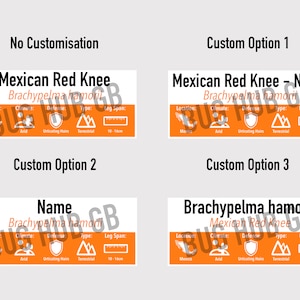 SMALL Custom Invert/Reptile Enclosure Labels ANY species, ANY common name customisation image 6