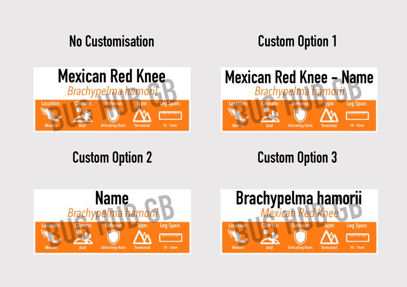 SMALL Custom Invert/Reptile Enclosure Labels ANY species, ANY common name customisation image 6