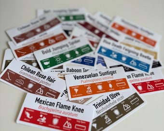SMALL Custom Invert/Reptile Enclosure Labels - ANY species, ANY common name customisation