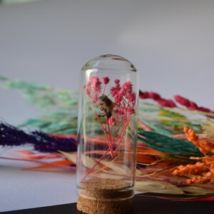 Real Honeycomb and Preserved Bees in Glass Dome | Handmade Natural Bee ...