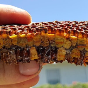 Pode incluir: Um pedaço retangular de favo de mel com uma estrutura de cera hexagonal castanho-escura preenchida com mel dourado e pólen amarelo. O texto EyesOnHives www.keltronixinc.com está impresso a branco no canto inferior esquerdo.