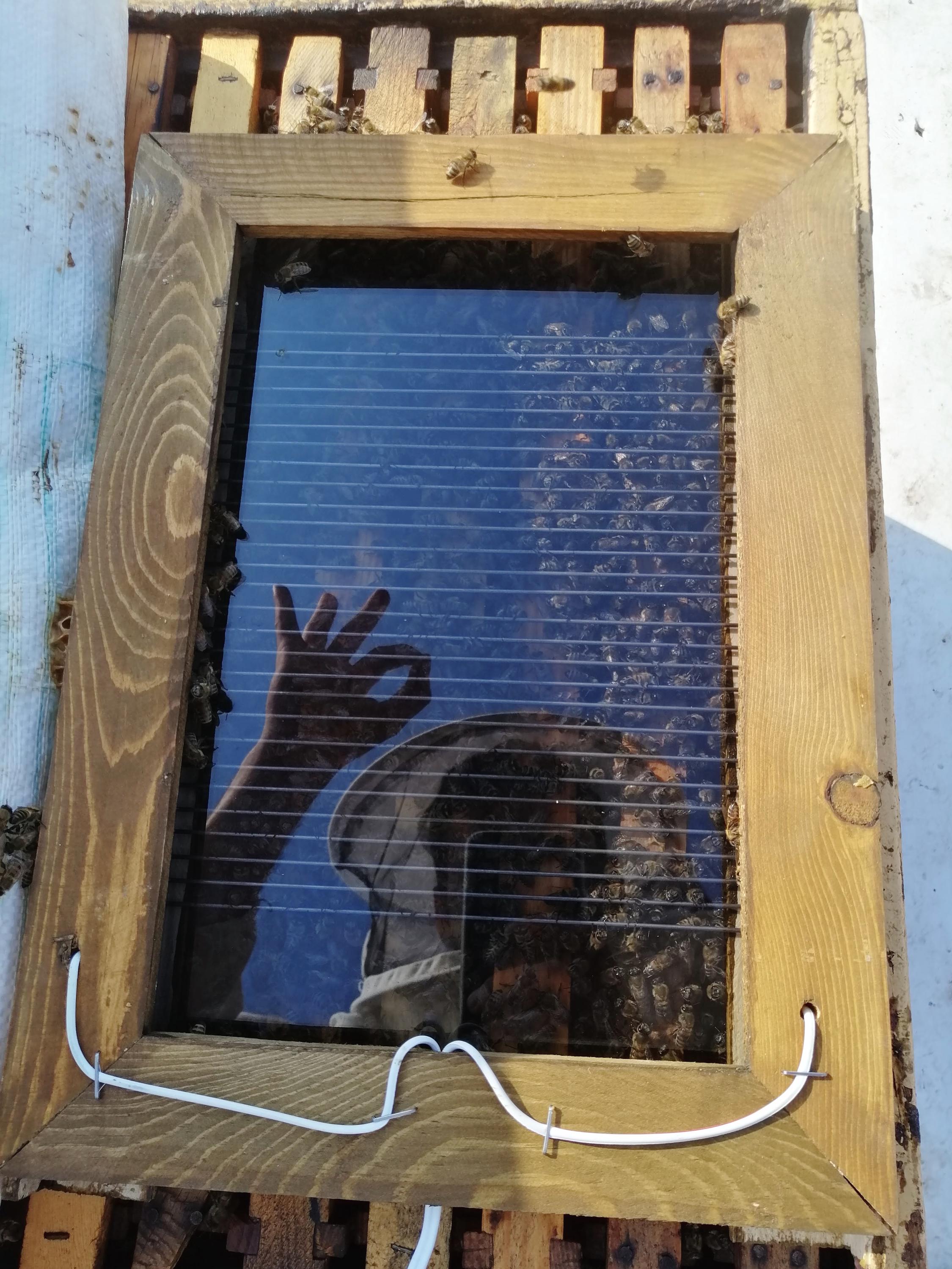 Handmade Bee Venom Collector Set – Safe Apitherapy Equipment