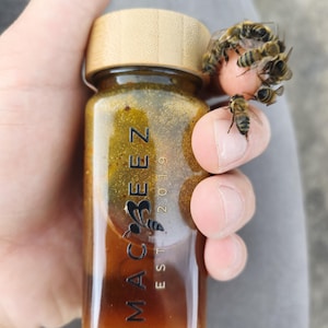 5-in-1 Premium Royal Bee Blend - Fresh Apilarnil, Pure Propolis, Raw Bee Bread, - Ultimate Natural Superfood Energy Blend - (150g / 5.3 oz)