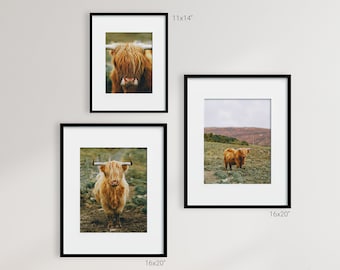 Scottish Highland Coos, Isle of Skye, Scotland, Set of 3, Full Color Digital Print, Printable Wall Art, 5 sizes per image, Instant Download