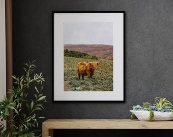 Impresión digital Scottish Highland Coo, Isla de Skye, Escocia, a todo color, arte de pared imprimible en 8 tamaños, descarga instantánea