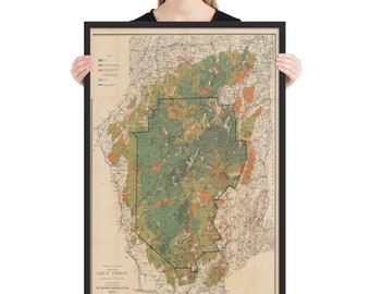 Map Adirondacks Historic Map, The Proposed Adirondack Park, c1890 (FRAMED)