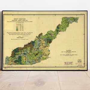 Landkarte 1909 Landkarte Waldverhältnisse im Westen von North Carolina. Karte Themen: Wälder und Forstwirtschaft | North Carolina |
