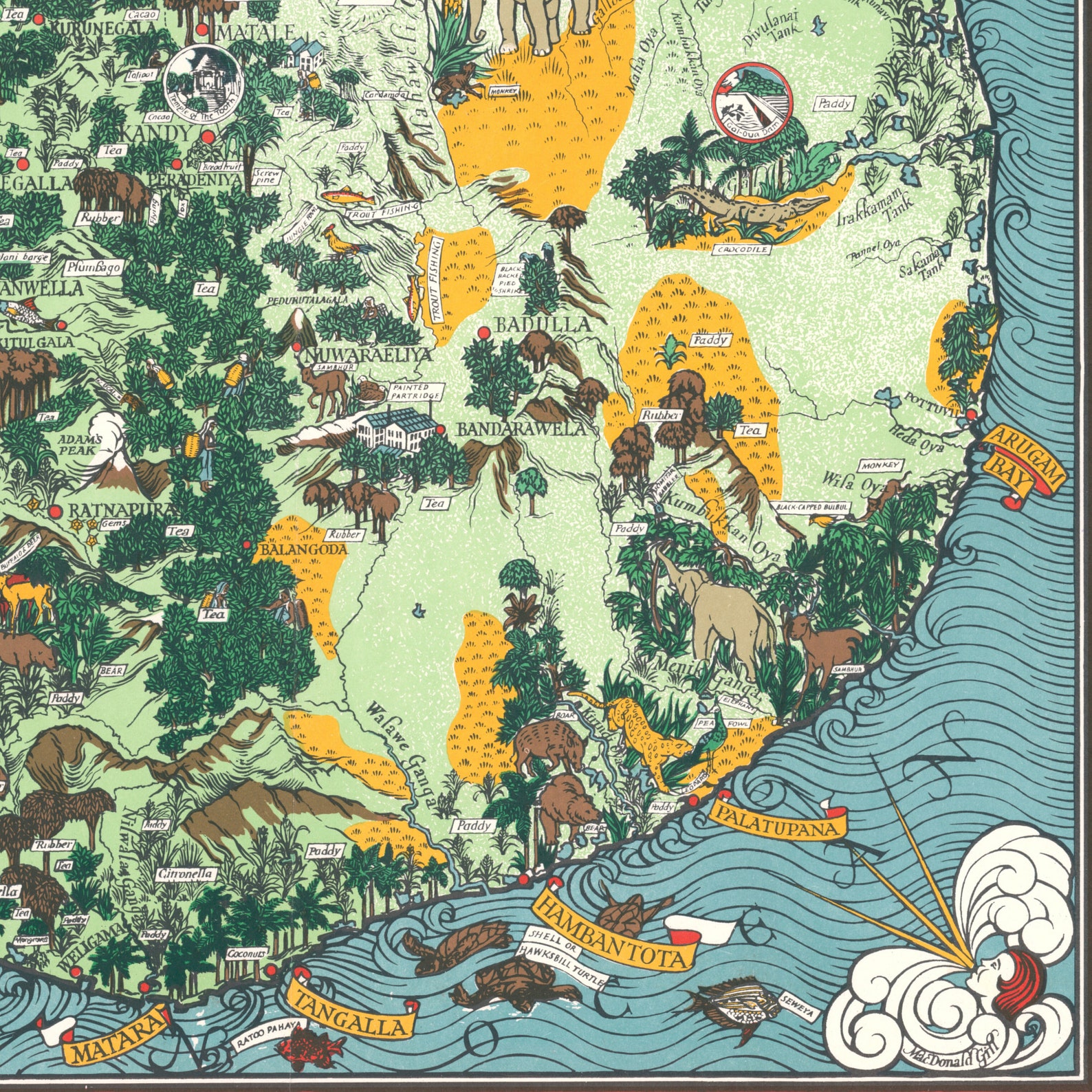 Ceylon Map Wall Print| 1933 Ceylon Map| Poster Print| Canvas Print Wall ...