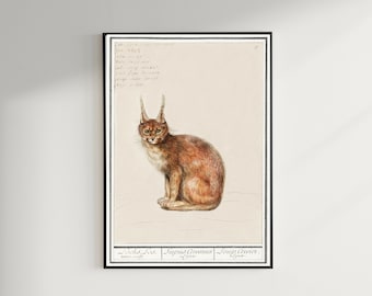 Lynx Print, Antique Space Painting, Vintage Drawing Poster Wall Art, animals poster, zoology gifts gift, zoology poster | COO783