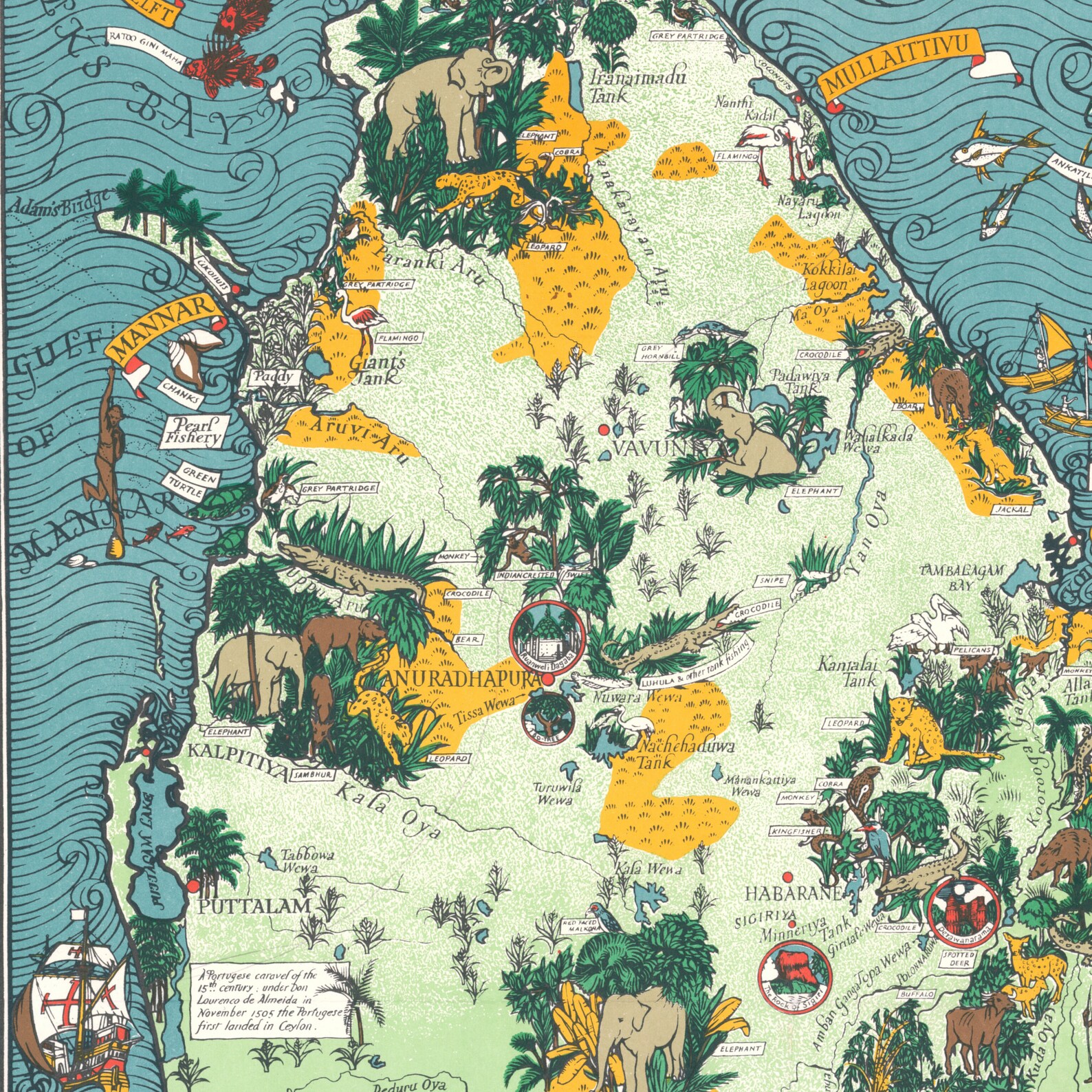 Ceylon Map Wall Print| 1933 Ceylon Map| Poster Print| Canvas Print Wall ...