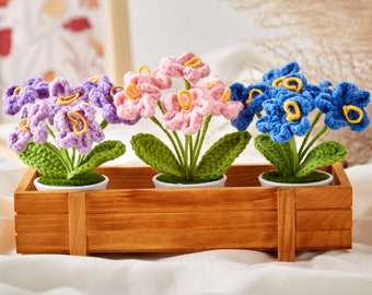 Kit de fleurs au crochet pot de fleurs décoration de la maison cadeau d'artisanat, fleur en pot de myosotis au crochet, fleur tricotée à la main, décor de fleurs au crochet à la maison