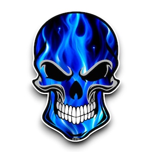 May include: A blue and silver skull with flames, a graphic design.