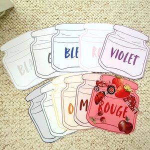 French Educational Learning Colors Matching Learning Printable Homeschooling Toddlers Kids Activity for Preschoolers and Language Skills