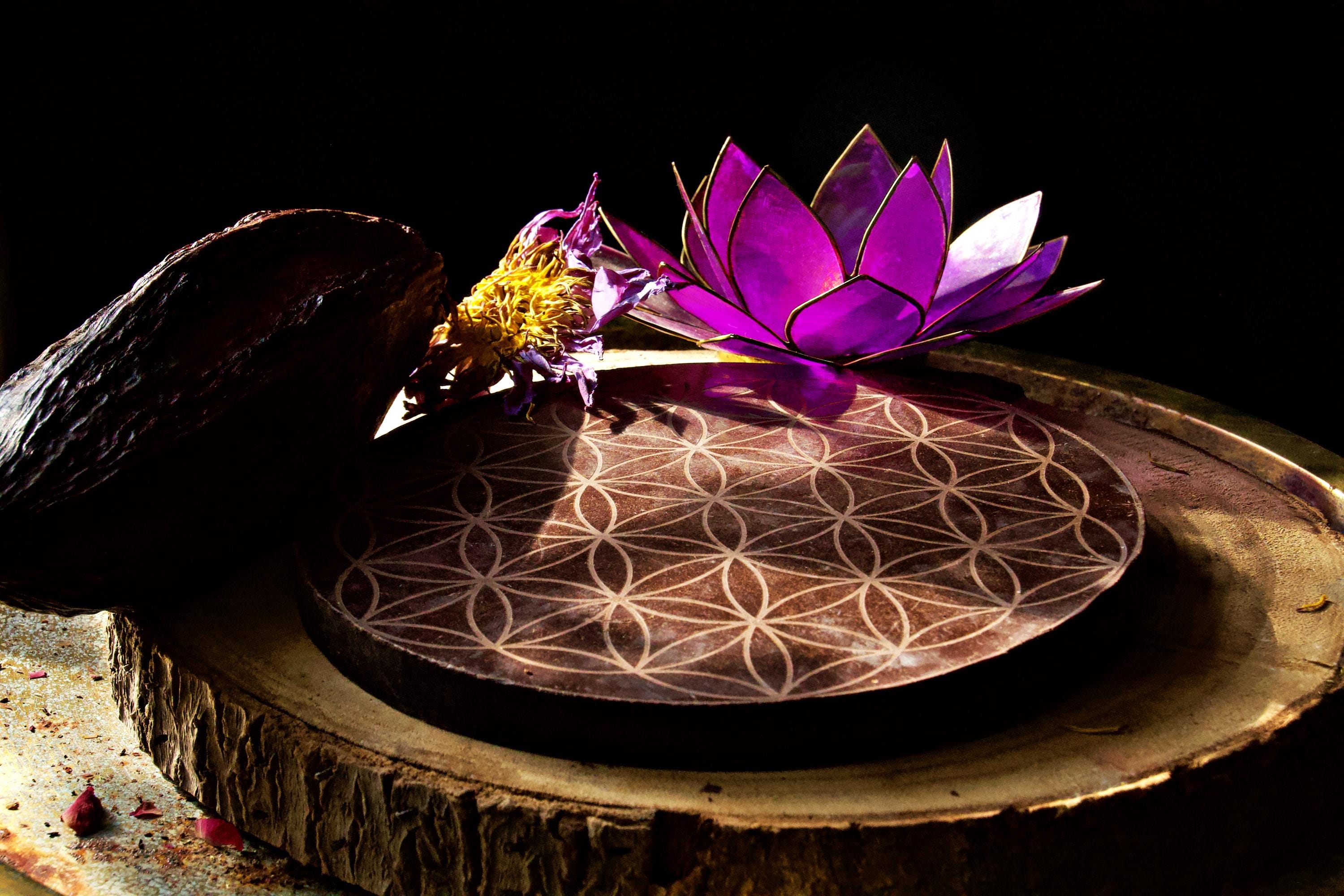 Ceremoniële cacao met blauwe lotus en 6 geneeskrachtige paddenstoelen