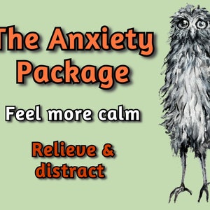 May include: A cartoon illustration of a grey and white owl with large eyes. The text "The Anxiety Package" is in orange letters. Below the owl, the text "Feel more calm" is in black letters. Below that, the text "Relieve & distract" is in orange letters.