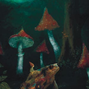 May include: A toad sits in a dark forest with a moon and mushrooms in the background. The toad is brown and green with a bumpy texture. The moon is a pale green with a human face. The mushrooms are red and white with white stems.