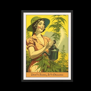 Op de afbeelding: Een vintage poster met een vrouw in een groene hoed en een gele jurk die een veld met groene cannabisplanten besproeit. De poster heeft de tekst "Geen paniek, het is biologisch" onderaan.