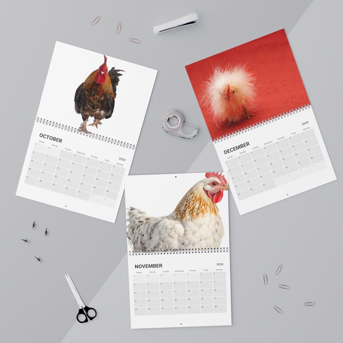 Chloe's Crazy Chickens Calendar 2024 Fun Chicken Calendar Chicken