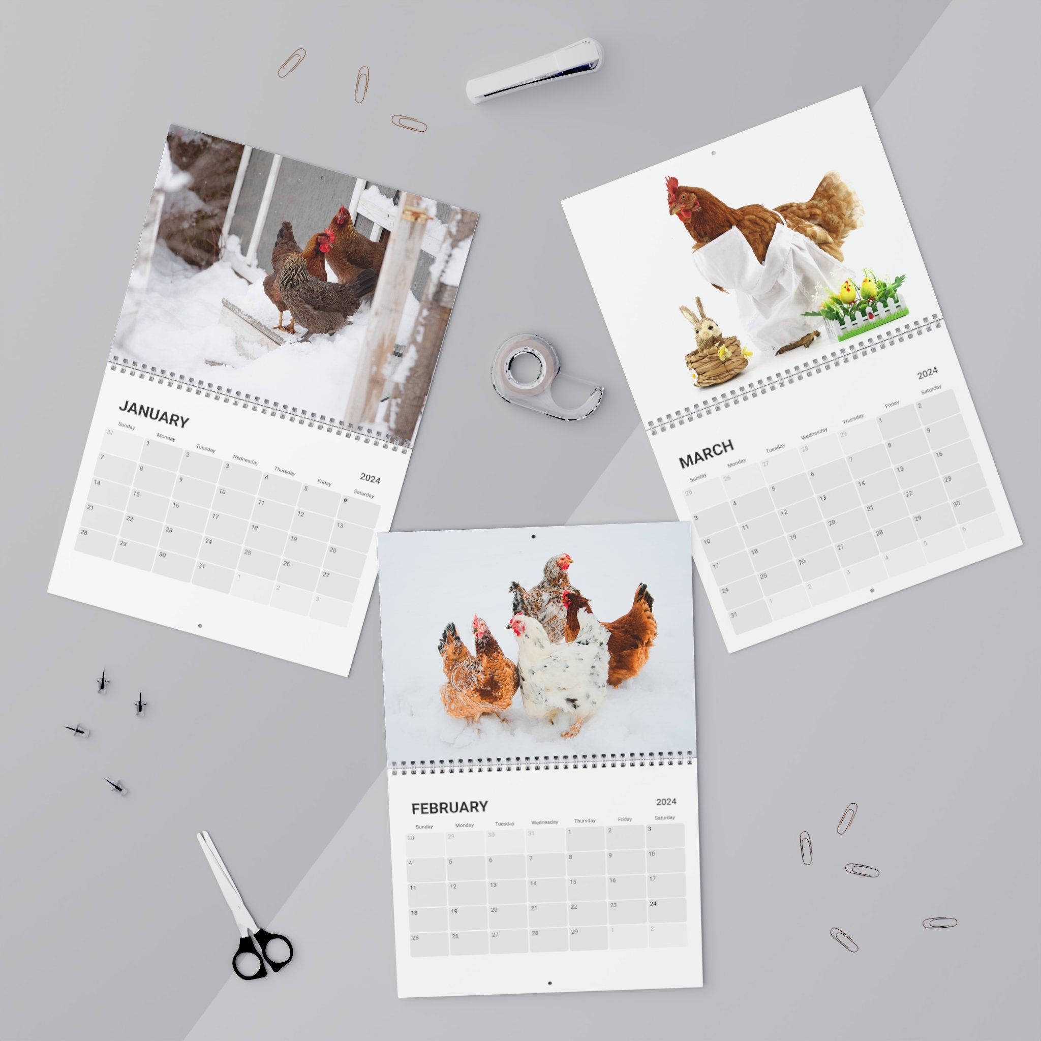 Chloe's Crazy Chickens Calendar 2024 Fun Chicken Calendar Chicken