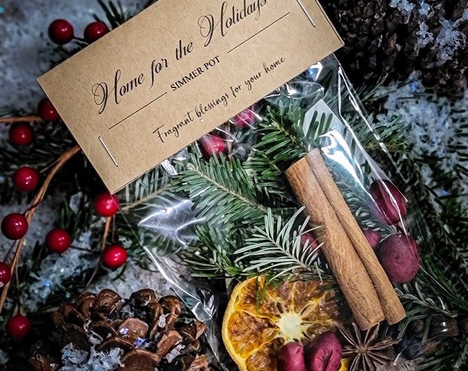 Home for the Holidays Simmer Pot/holiday Stovetop Potpourri/fragrant