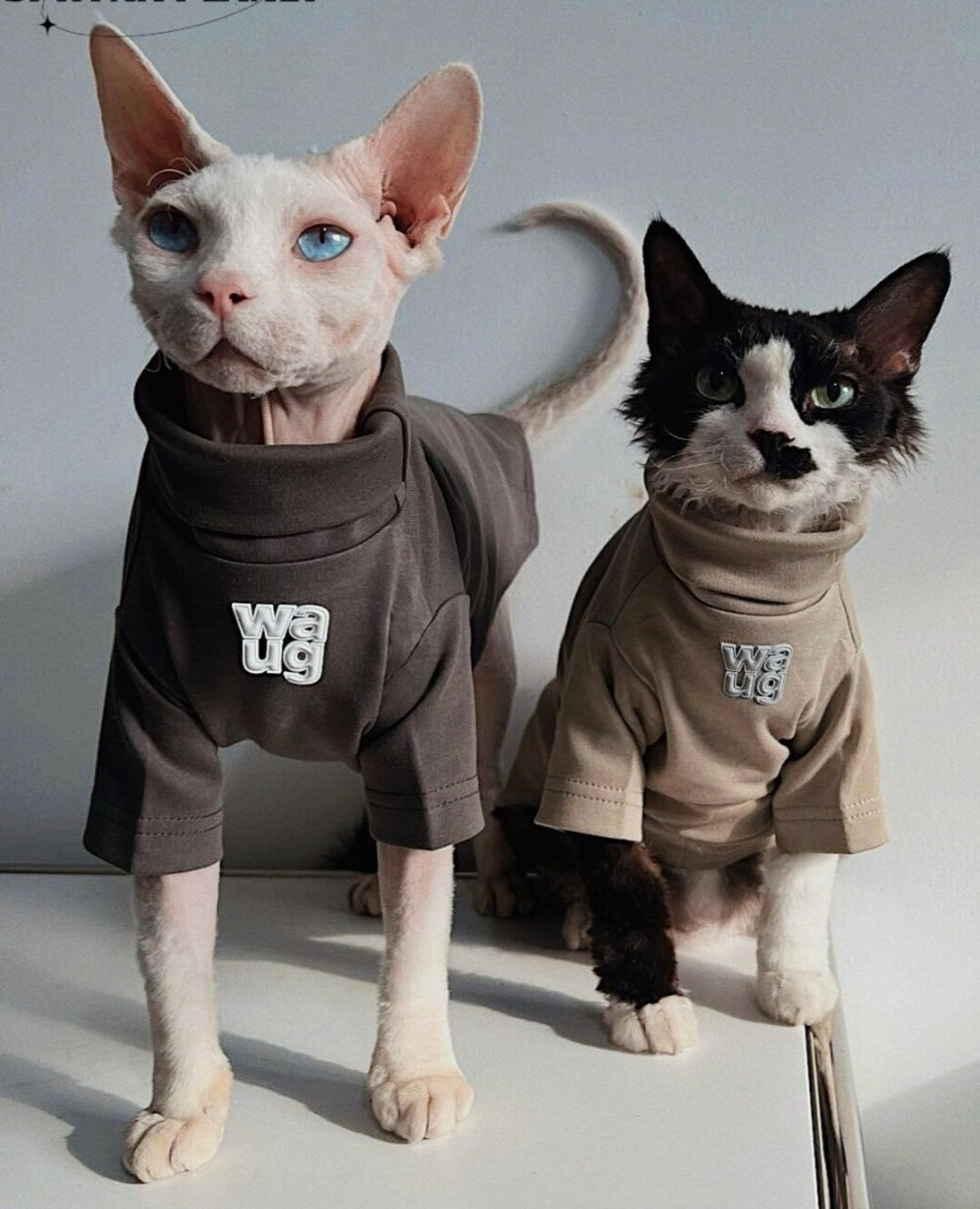 Sphynx Hairless Cats Clothes, Super Soft Kitten Pullover Sweatshirt, Bambino Devon Rex Sphynx