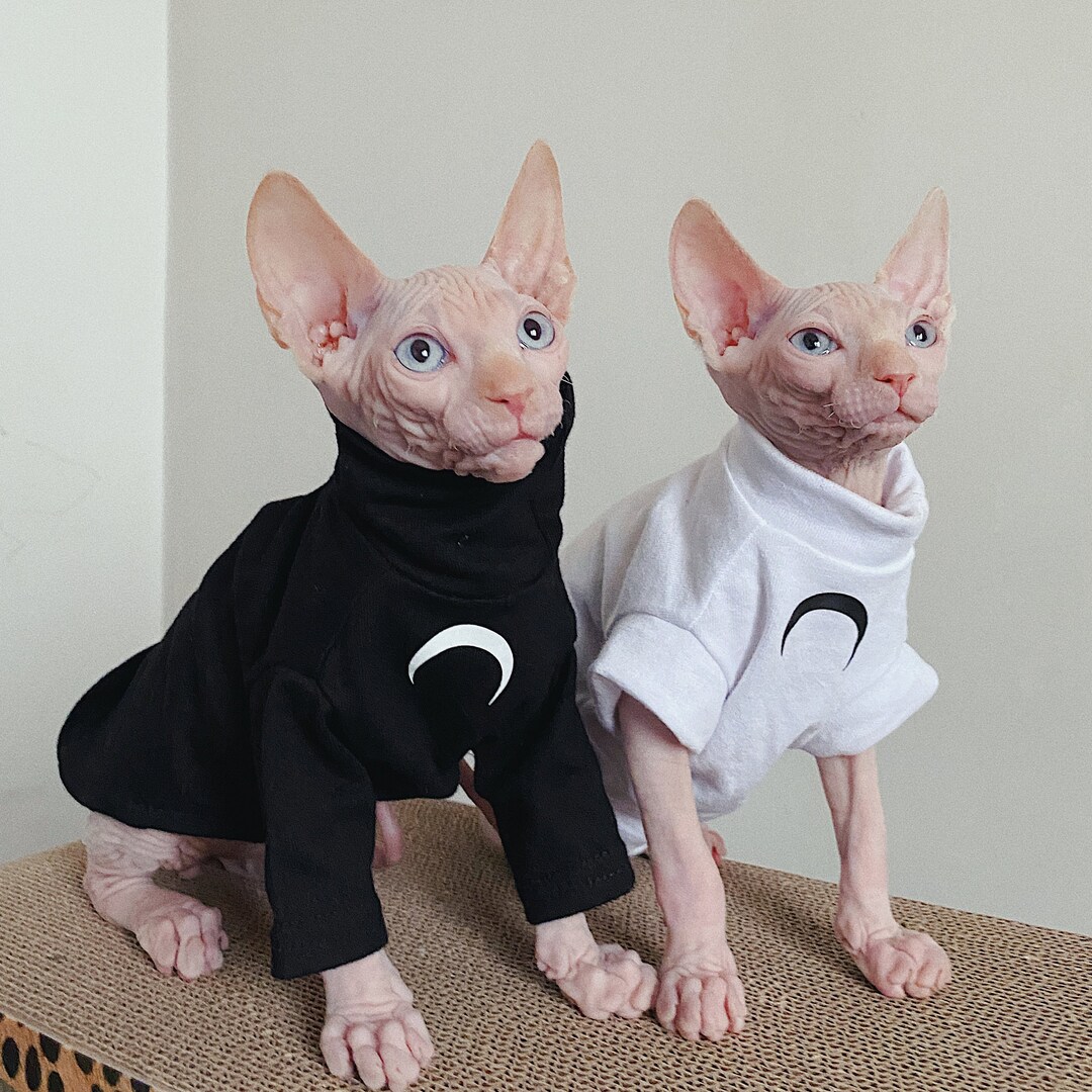 Sphynx Hairless Cats Clothes, Super Soft Kitten Pullover Sweatshirt, Bambino Devon Rex Sphynx