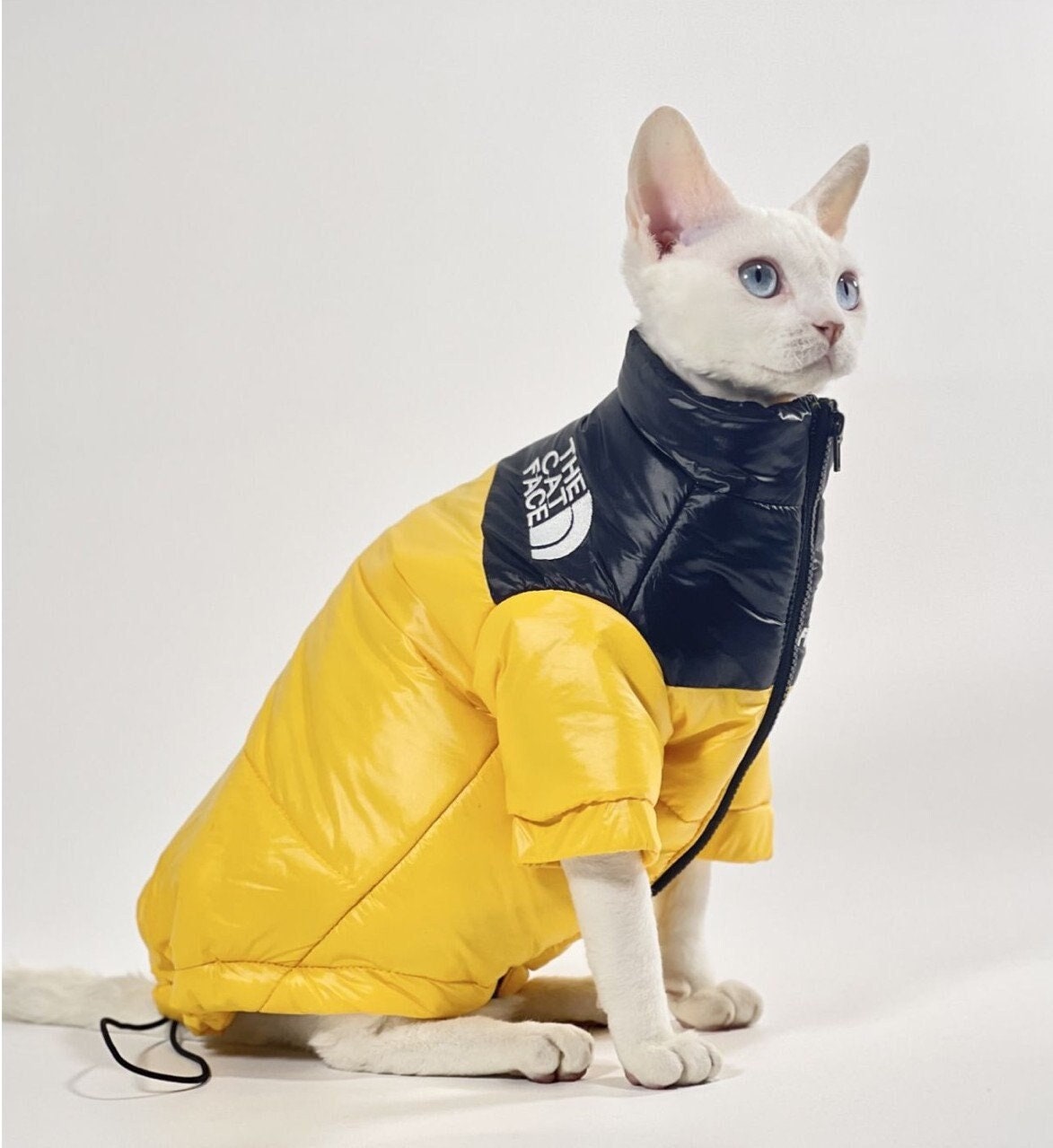 cat puffer jacket