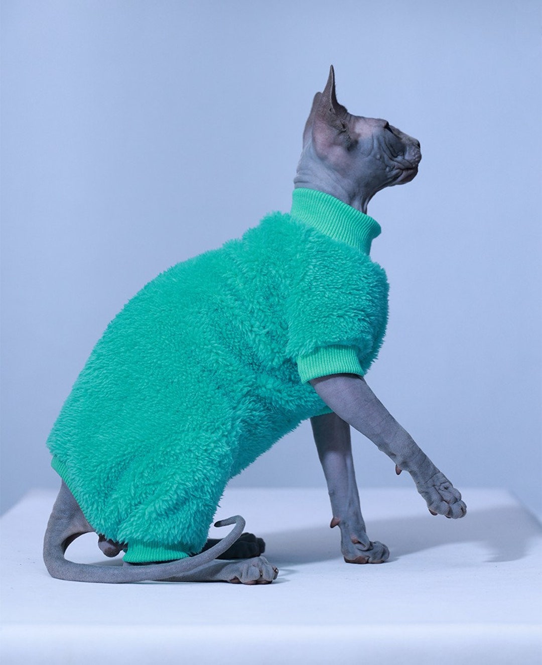 3 Colors Sphynx Hairless Cats Clothes Fleece Warm Kitten Etsy