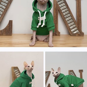 3 Colors Sphynx Hairless Cats Clothes, Cotton Soft Kitten Pullover Turtleneck Hooded Sweatshirt, Bambino Devon Rex Sphynx Cat Clothing image 3