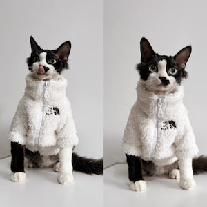 Vêtements pour chats sans poils Sphynx 4 couleurs, veste d'hiver chaude à fermeture éclair pour chaton, vêtements pour chat Bambino Devon Rex Sphynx image 4