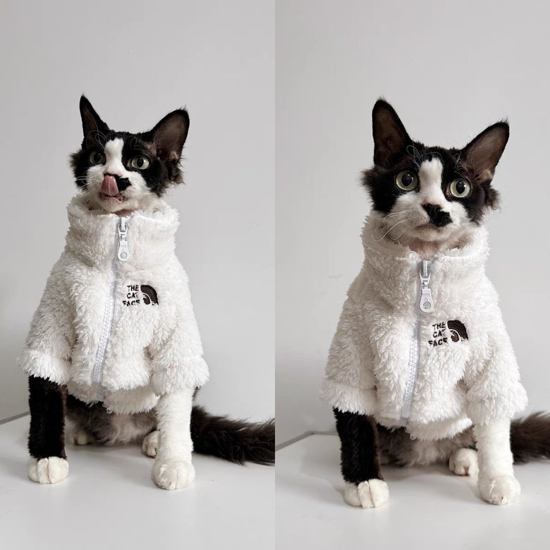 Ropa para gatos sin pelo Sphynx de 4 colores, chaqueta cálida con cremallera de invierno para gatos, ropa para gatos Bambino Devon Rex Sphynx Blanco