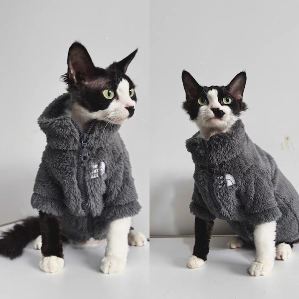 4 Farben Sphynx Haarlose Katzen Kleidung, Winter Reißverschluss Warme Kätzchen Mantel Jacke, Bambino Devon Rex Sphynx Katzen Kleidung