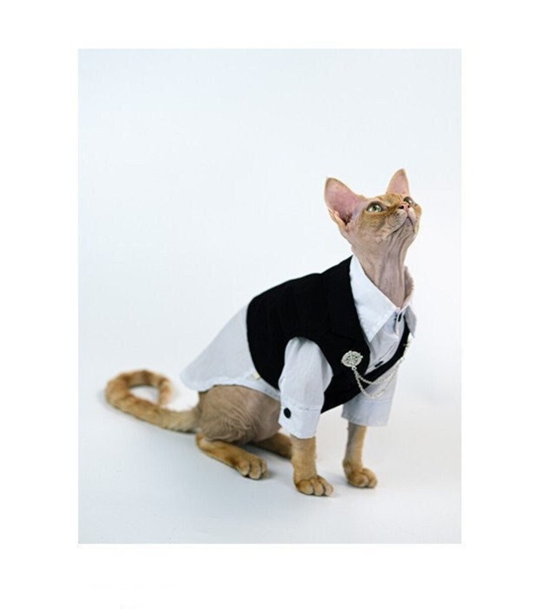 Sphynx Hairless Cats Clothes Gentleman Wedding Groom Suits Etsy