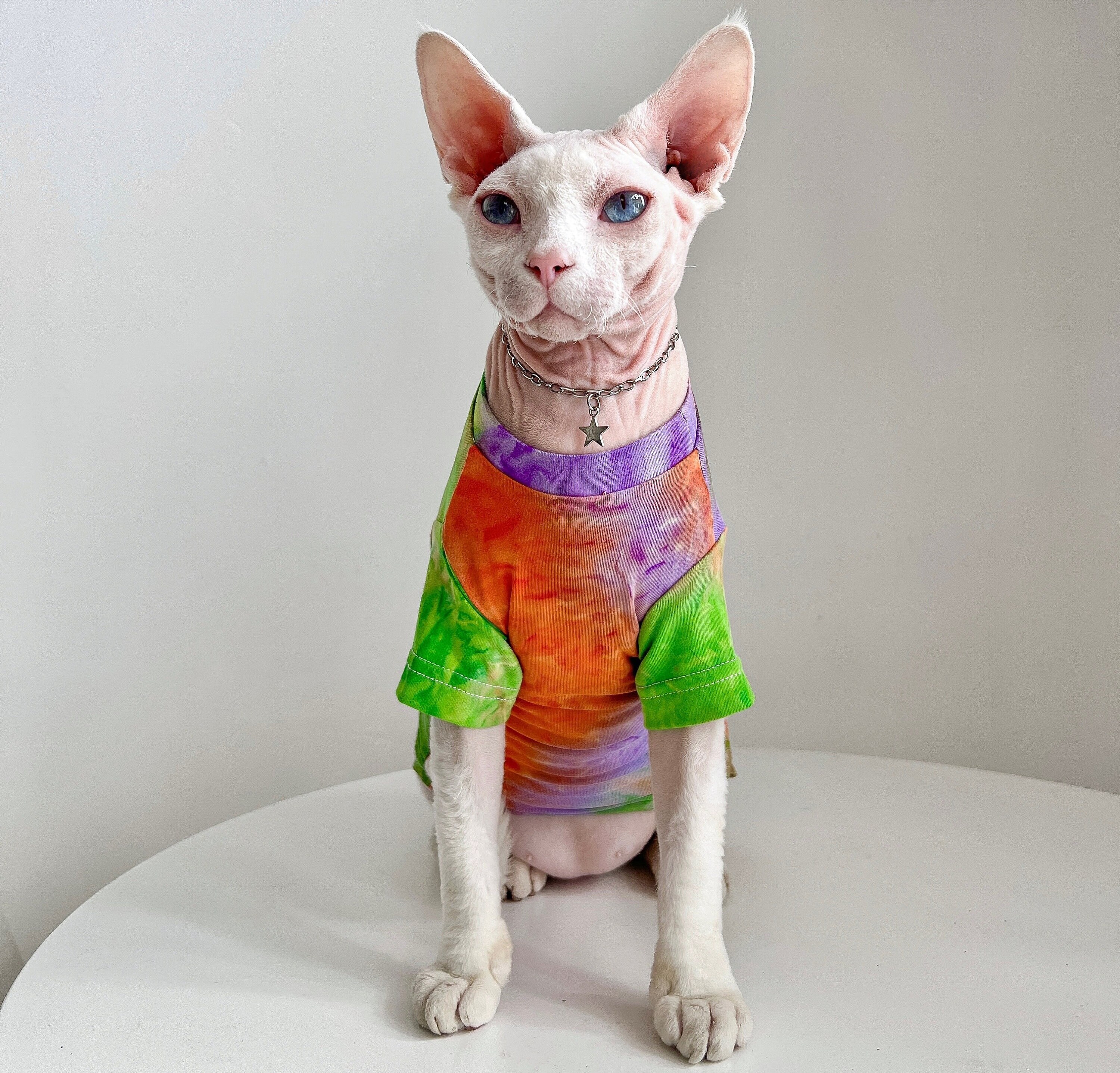 3 Types Sphynx Hairless Cats Clothes Summer Super Soft Kitten Etsy Australia