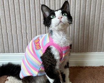 Rainbow Striped Sphynx Hairless Cats Clothes, Summer Soft Breathable Sweatshirt, Bambino Devon Rex Sphynx Cat Jumper