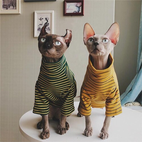 Sphynx Hairless Cats Clothes Cotton Pullover Sweatshirt Etsy