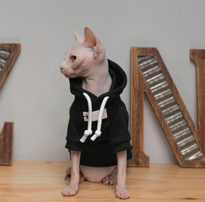 3 Colors Sphynx Hairless Cats Clothes, Cotton Soft Kitten Pullover Turtleneck Hooded Sweatshirt, Bambino Devon Rex Sphynx Cat Clothing image 6