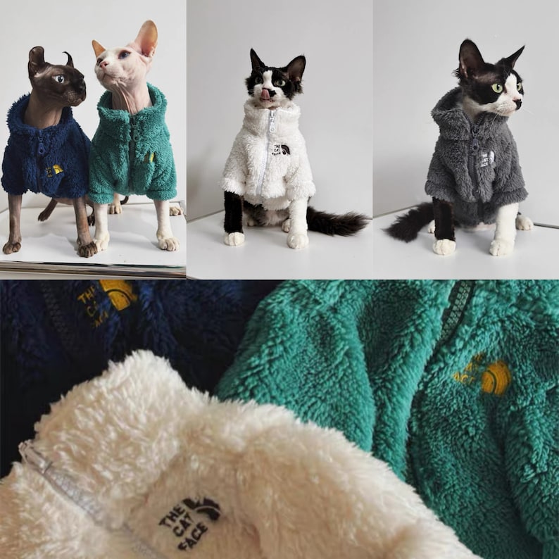 Ropa para gatos sin pelo Sphynx de 4 colores, chaqueta cálida con cremallera de invierno para gatos, ropa para gatos Bambino Devon Rex Sphynx imagen 7