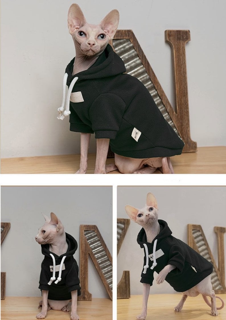 3 Colors Sphynx Hairless Cats Clothes, Cotton Soft Kitten Pullover Turtleneck Hooded Sweatshirt, Bambino Devon Rex Sphynx Cat Clothing image 7