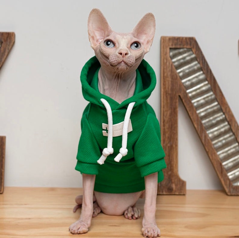 3 Colors Sphynx Hairless Cats Clothes, Cotton Soft Kitten Pullover Turtleneck Hooded Sweatshirt, Bambino Devon Rex Sphynx Cat Clothing Green