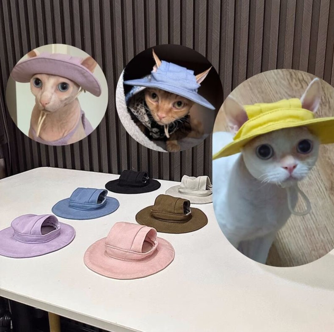 76 Colors Customized Sphynx Hairless Cats Bucket Hat With Ear Holes ...
