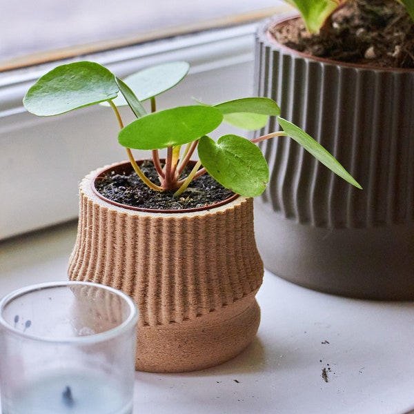 Petit pot de plante d'intérieur POPPY - BOIS