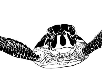 Sea Turtle