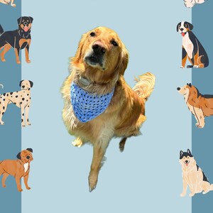 Gehaakte huisdier bandana handgemaakte huisdier accessoire bandana handgemaakte gehaakte hoofdband